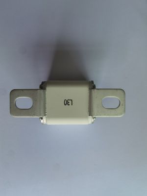 AC2000V/1min EV Vehicle Protection 30A - 450A With &gt;3000h Life Span